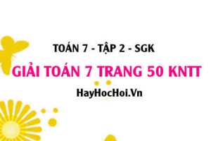 Giải Toán 7 trang 50 tập 2 Kết nối tri thức